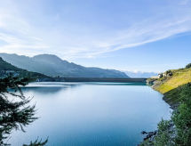 Vakantiehuis La Bergerie
