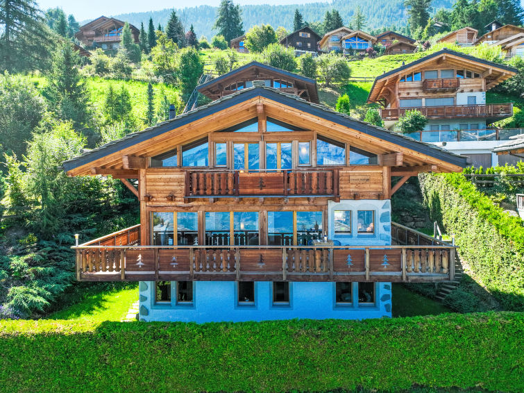 Chalet Aurore Chalet in Nendaz