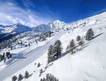 Vacation home Chalet Derborence