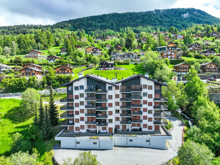 Foret E3 Apartment in Nendaz