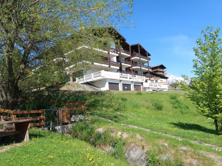 Grand Place 5 Apartment in Nendaz