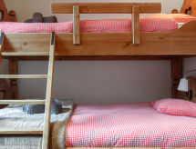 Appartement Montagnard 10