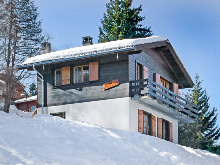 Hildegarde Chalet in Nendaz