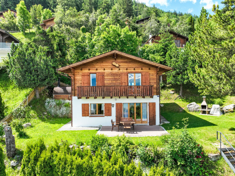 Chalet Picardie Chalet in Nendaz
