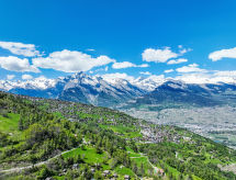 Ferienwohnung Swiss Alps view Aiglon H2