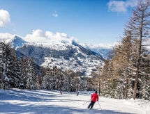 Ferienhaus Chalet Arvine