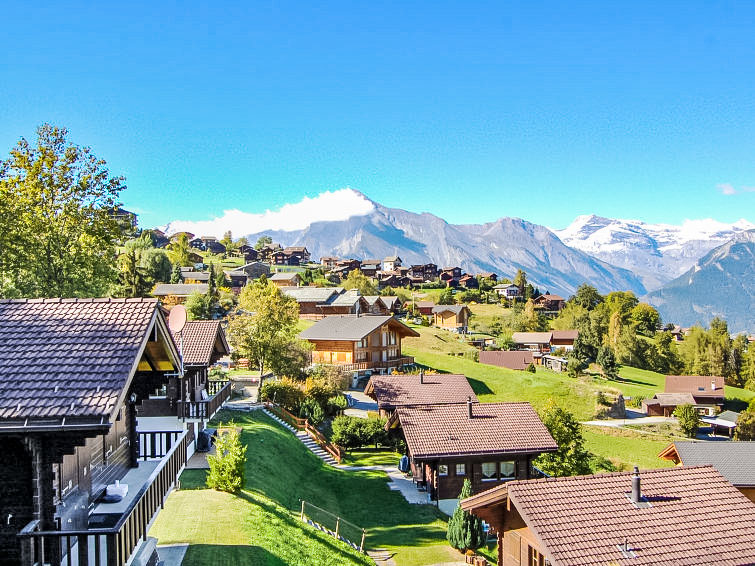 D'Arby Chalet in Nendaz