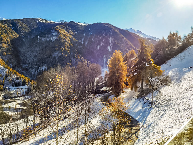 Papillon Chalet in Nendaz