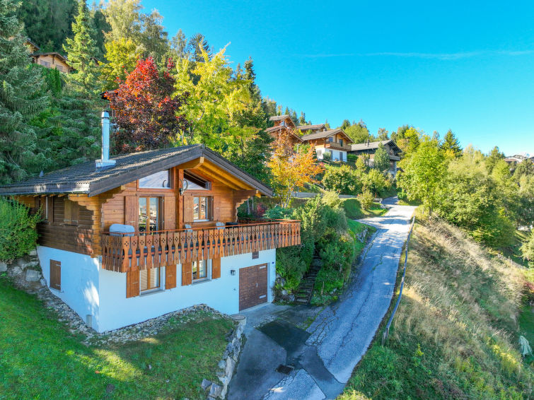 6-persoons chalet Dolce Cabane met sauna in Nendaz in Nendaz