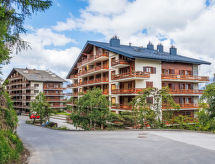Derborence 25: Rustiek appartement aan de skipiste in Nendaz - thumbnail 1