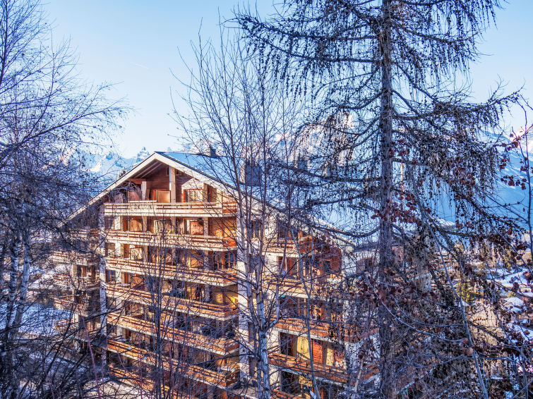 Photo of Derborence 28