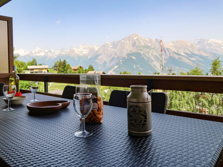 CH-WA-0164 Nendaz