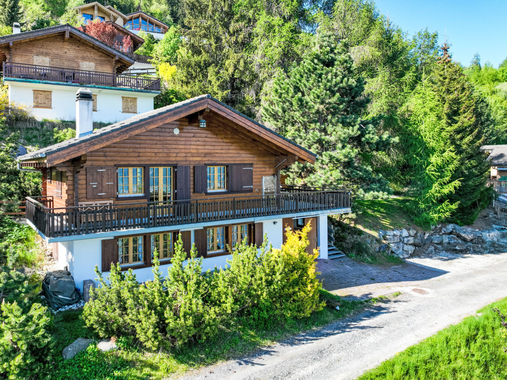Vakantiehuis Panorama des Cimes in Zwitserland