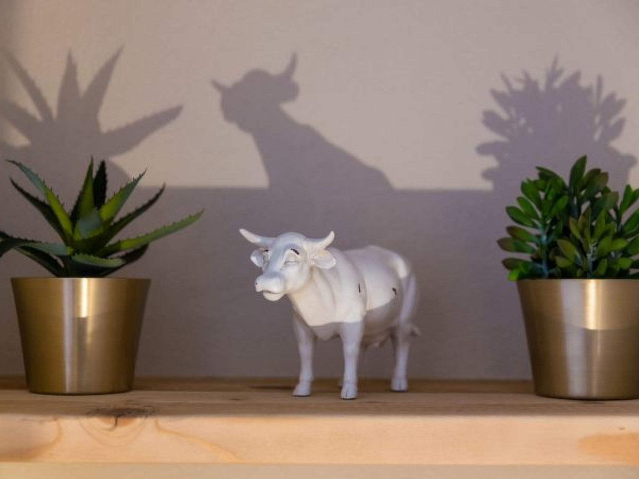 Photo of Nendaz 2 bedroom apartment - close ski lift (R27)