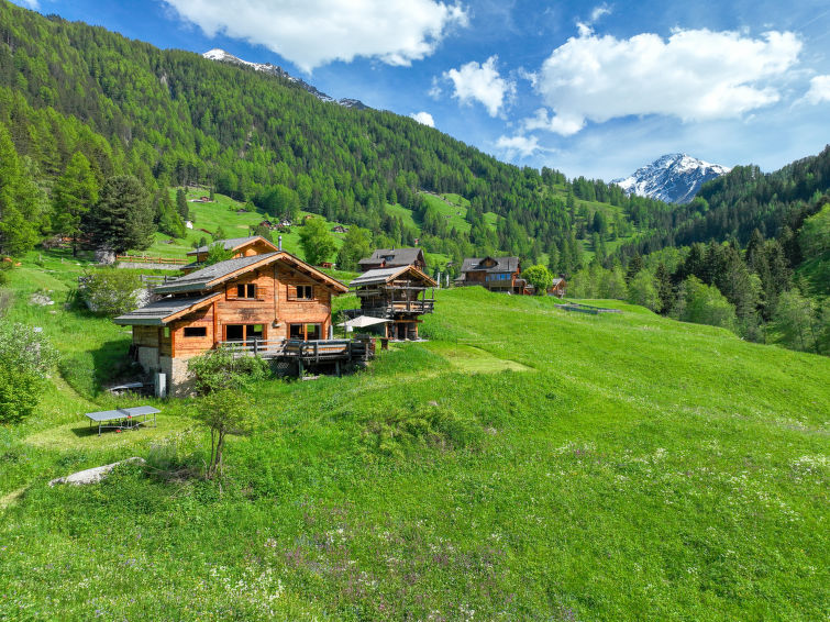 Chalet Gaea Chalet in Nendaz