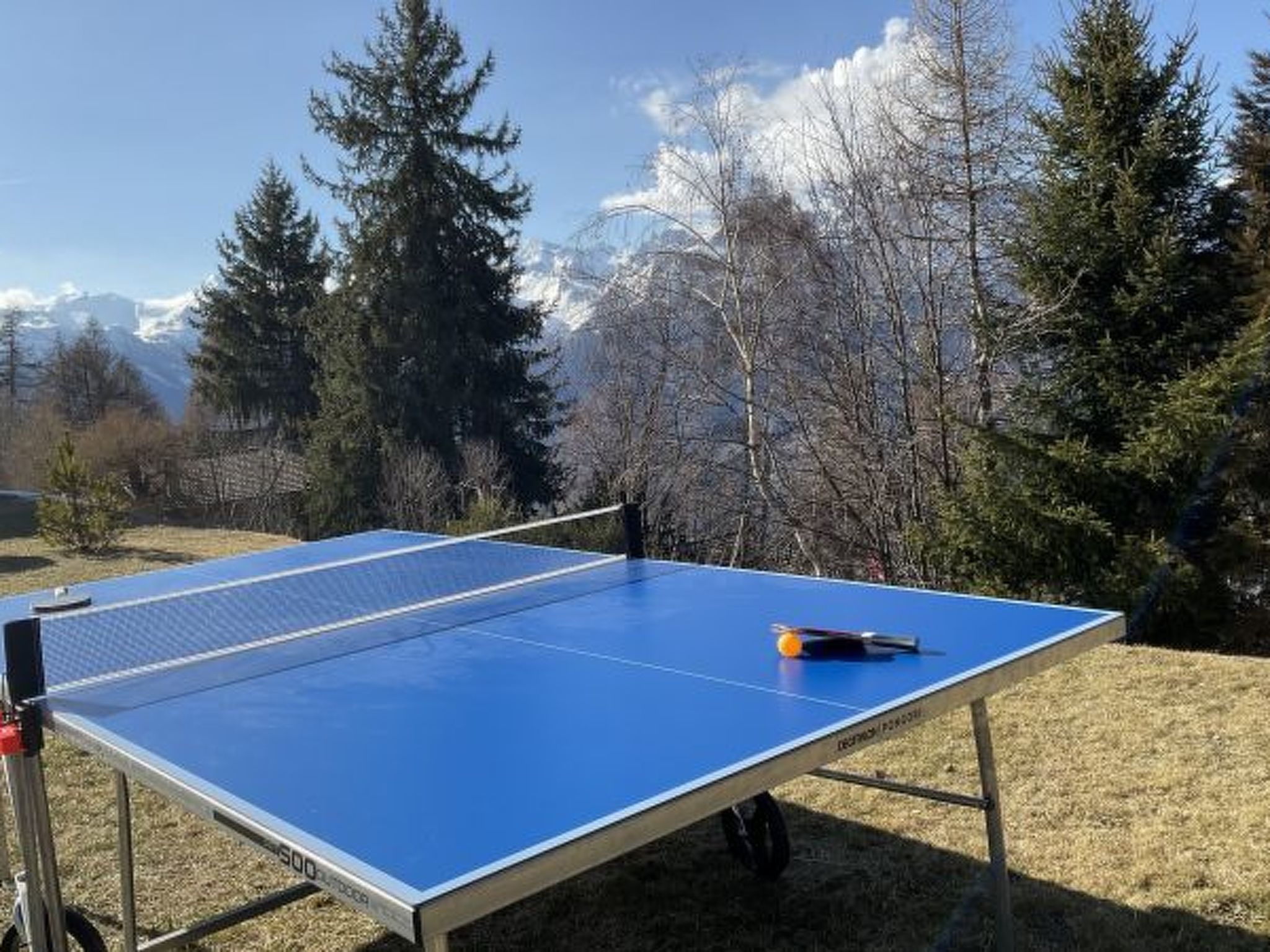 Photo of Chalet Pierre Blanche - Ski-in/out