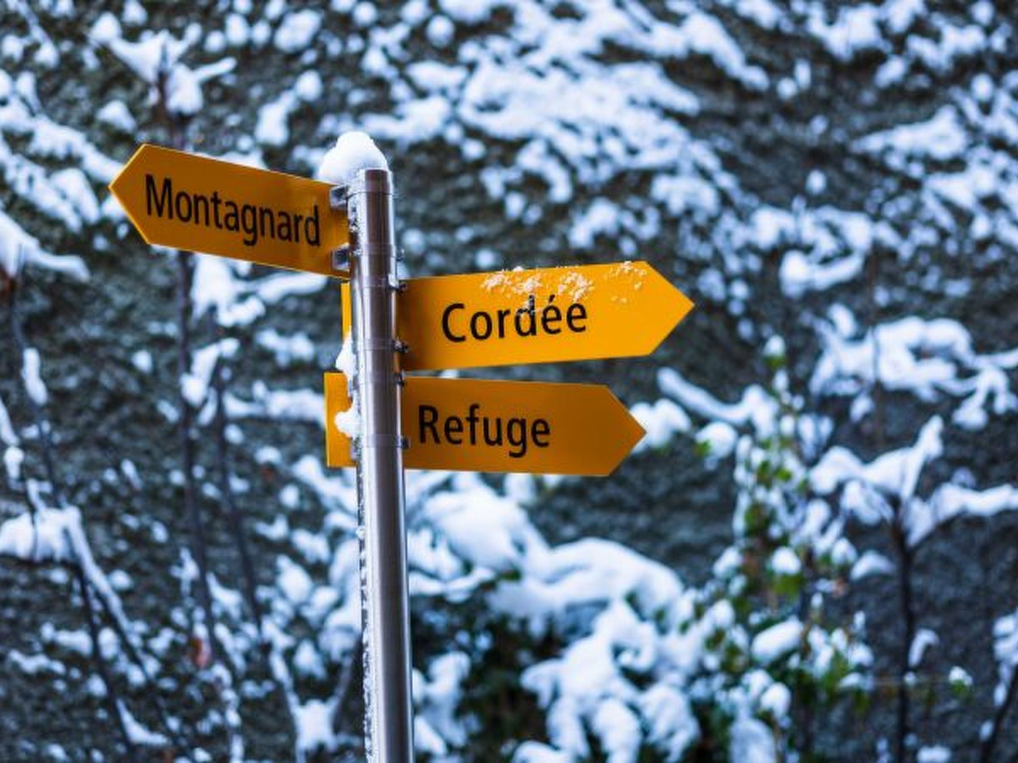 Photo of Cordée 3 - Spa access