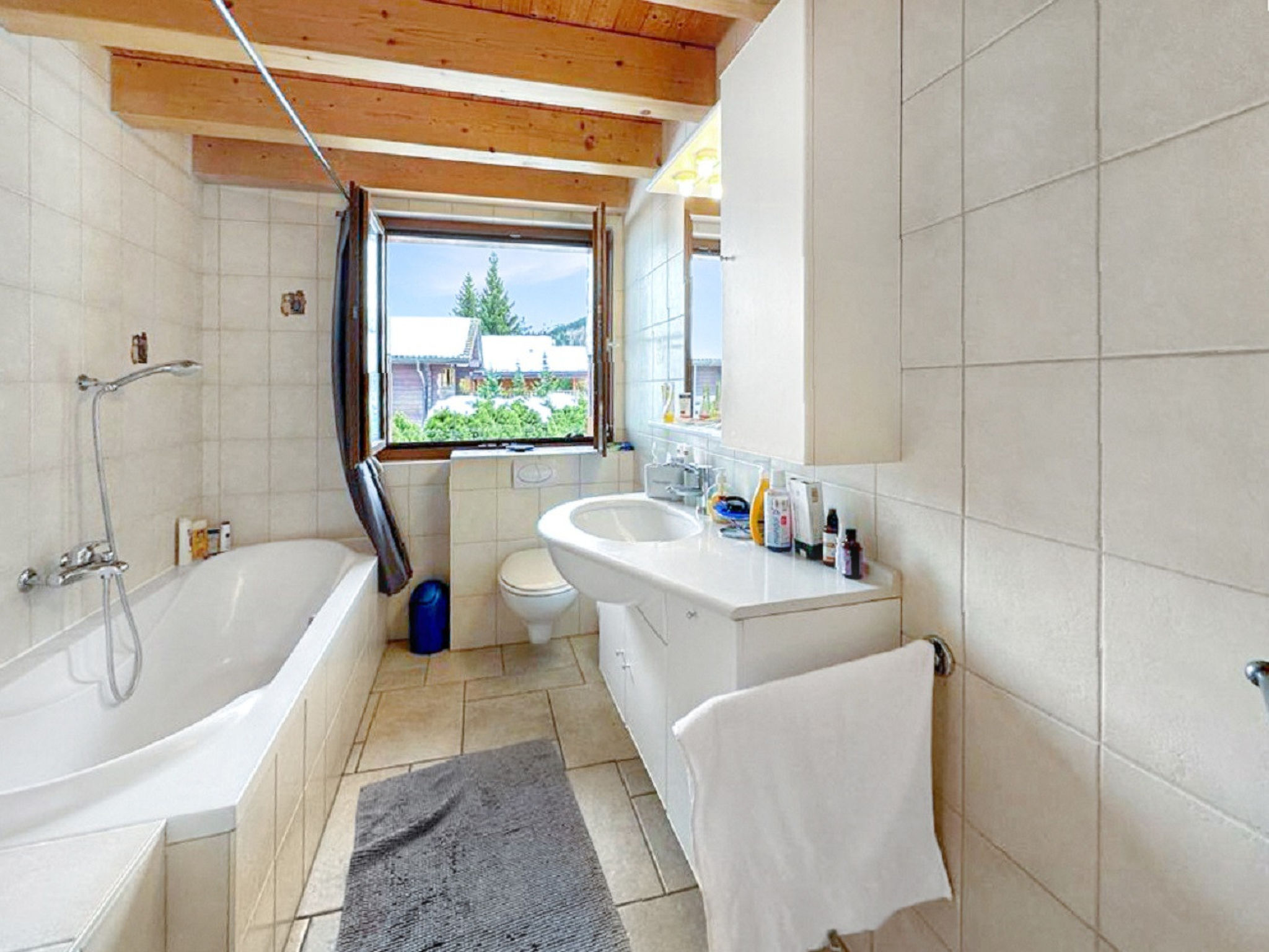 Bathroom / Wellness