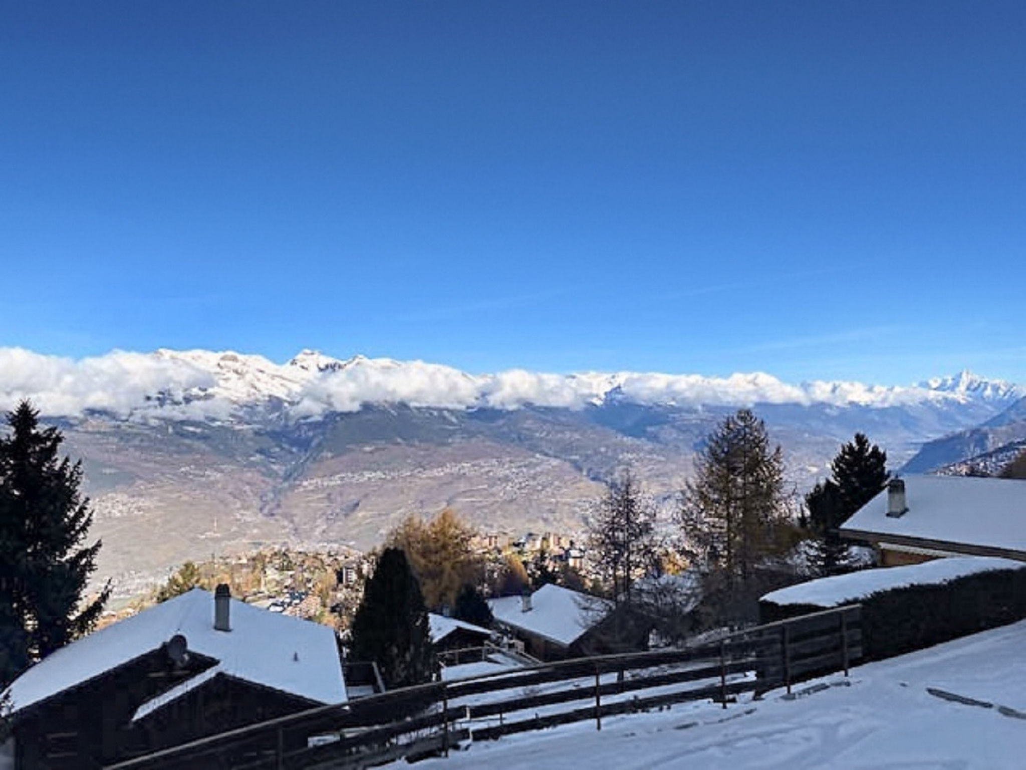 View