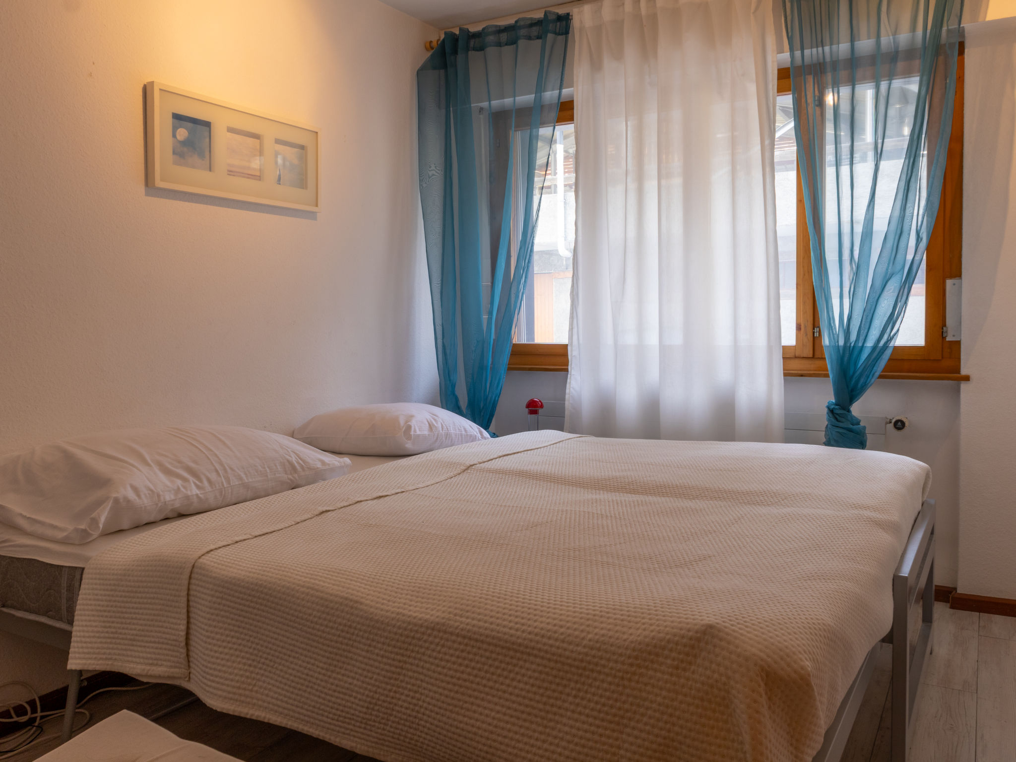 Photo of Bouleaux A0