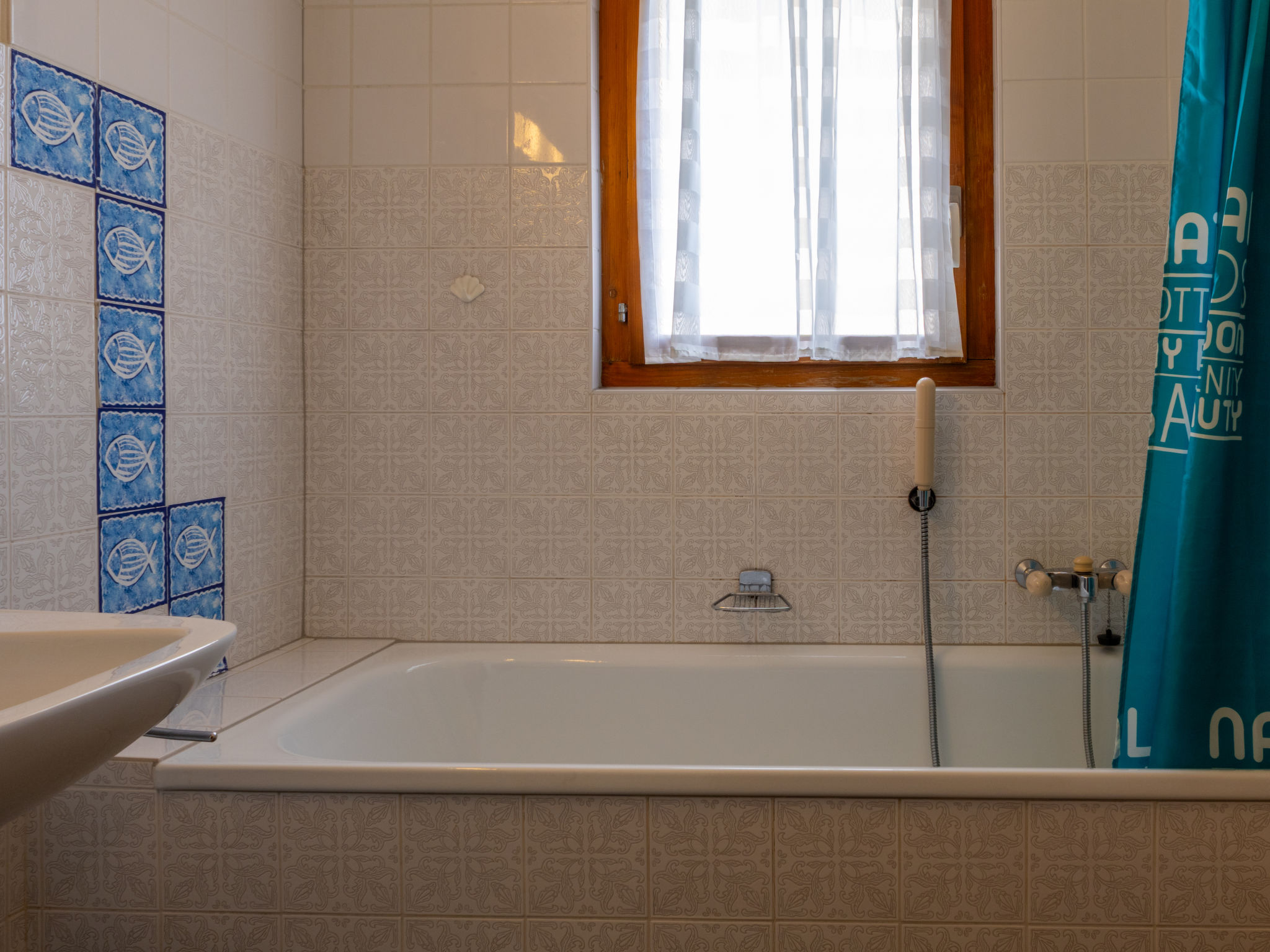 Photo of Bouleaux A0