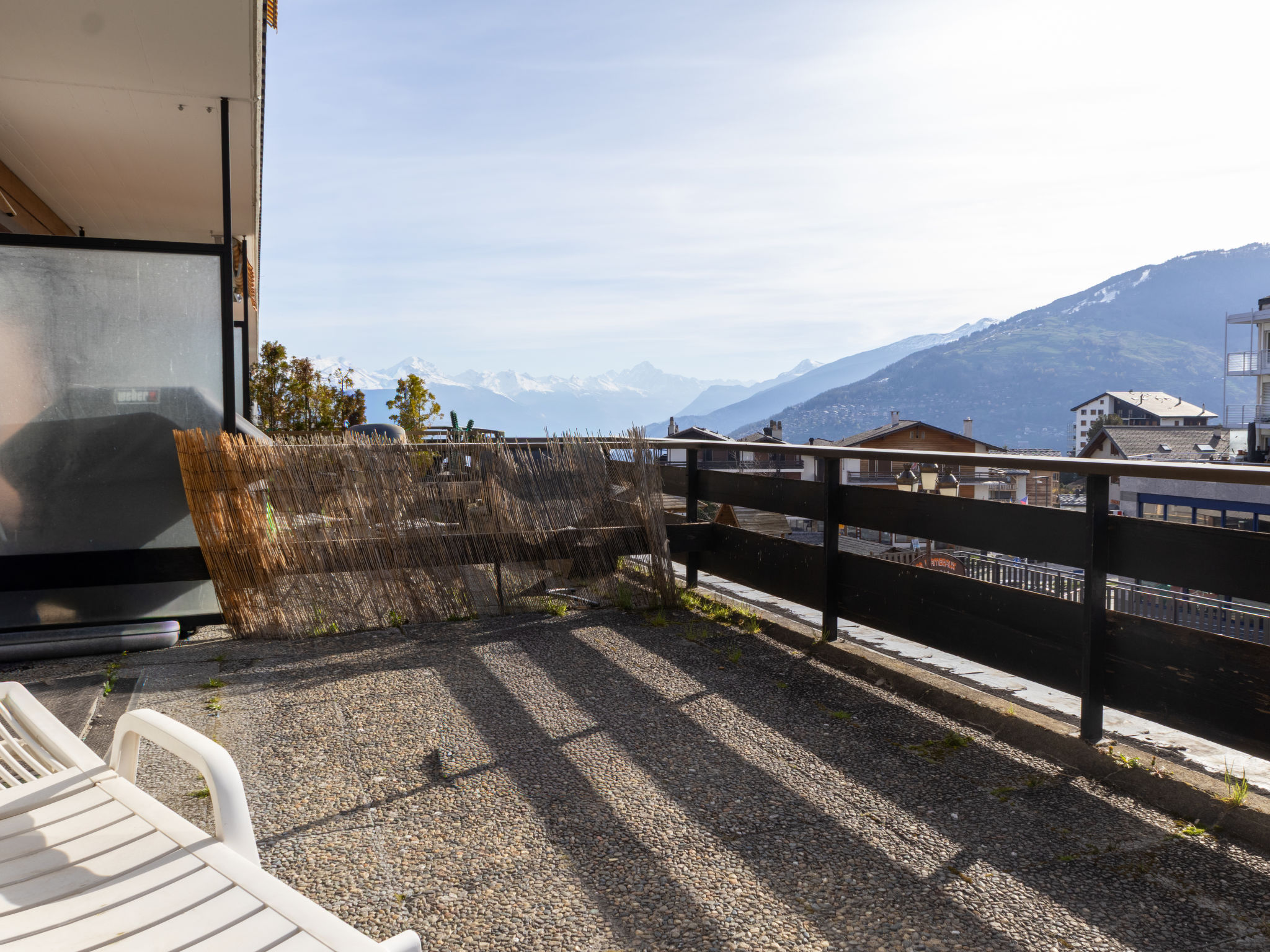 Photo of Bouleaux A0