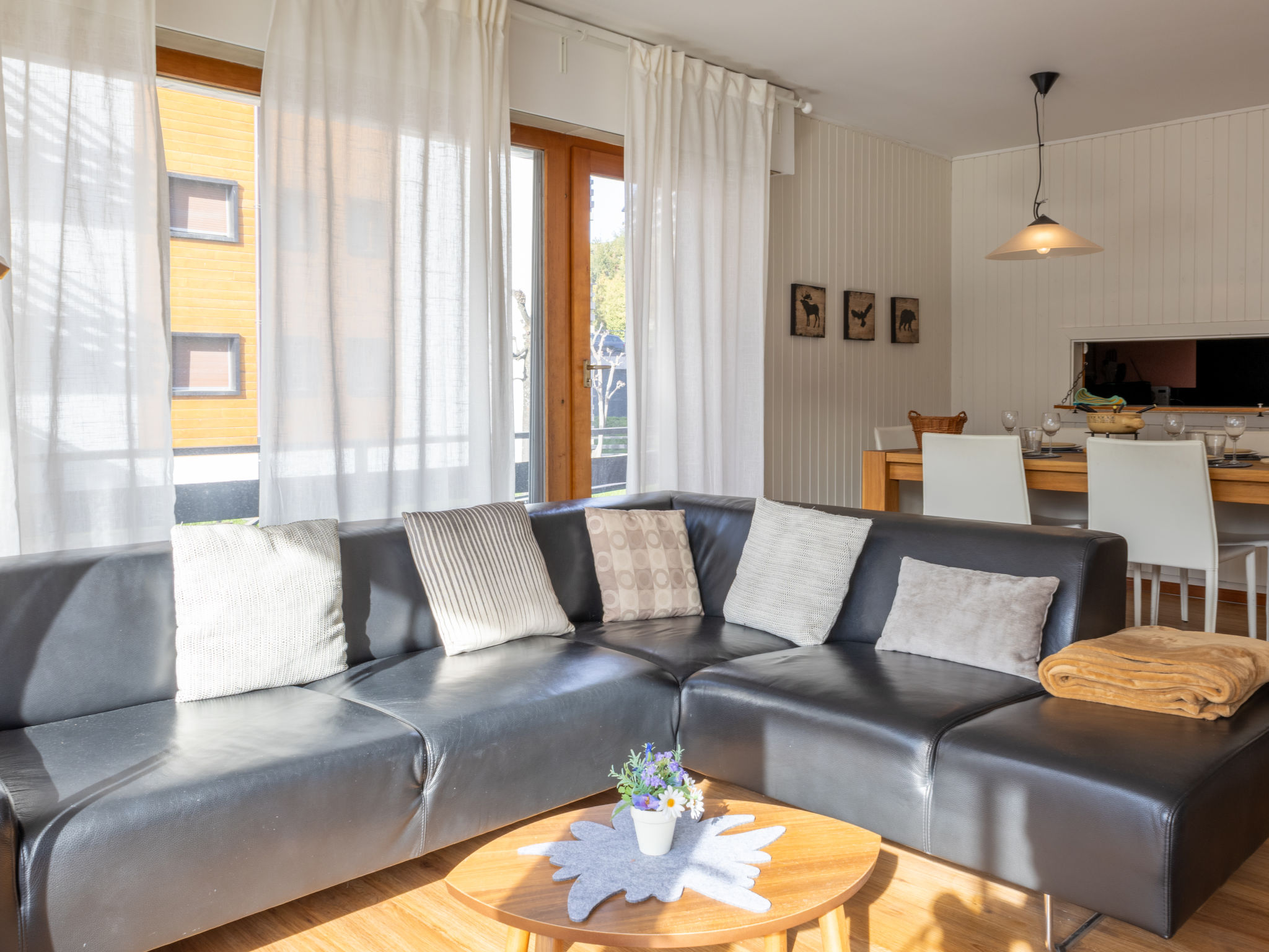 Photo of Bouleaux A0