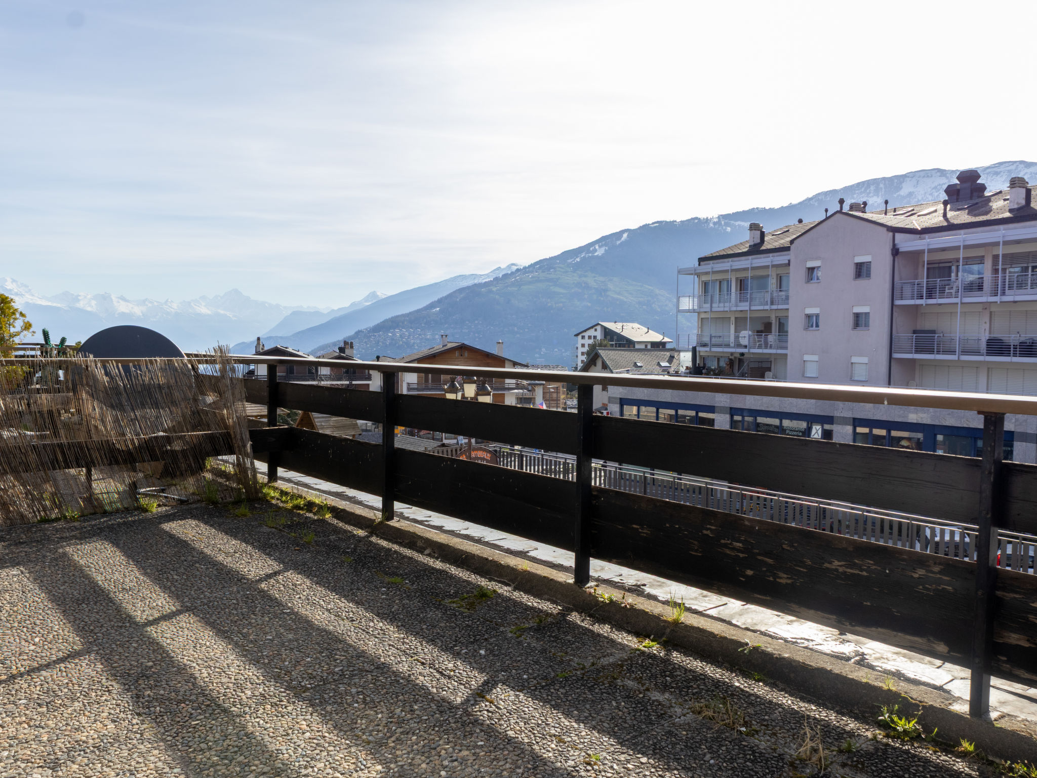 Photo of Bouleaux A0