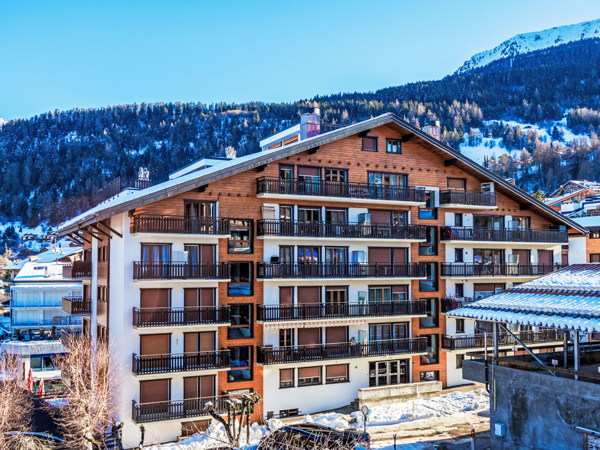 Photo of Bouleaux A0