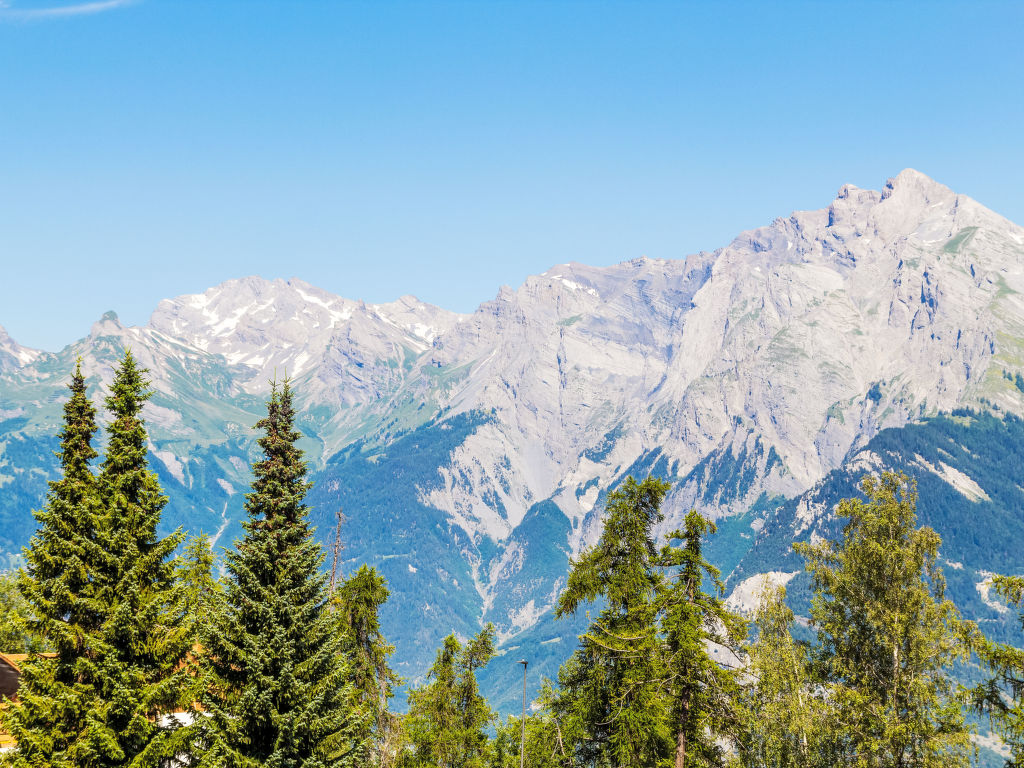 Ambassador II Apt 13