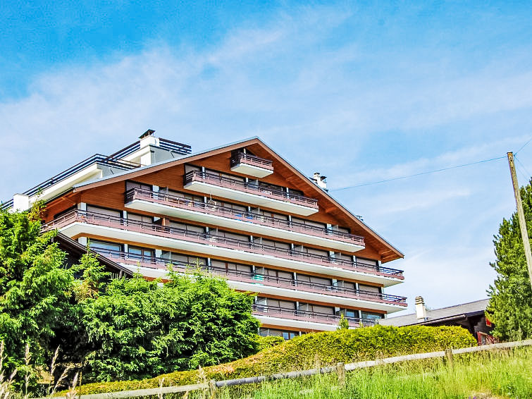 Panoramic B1 Apartment in Nendaz