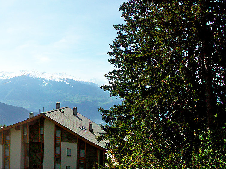 Clarine Chalet in Anzere