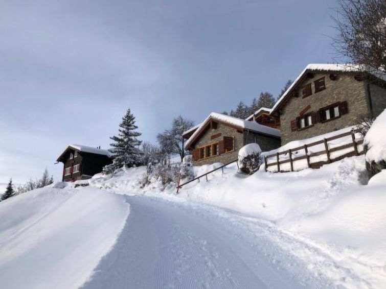 Tiny House Facing The Alps - Ski In And Out - Sion