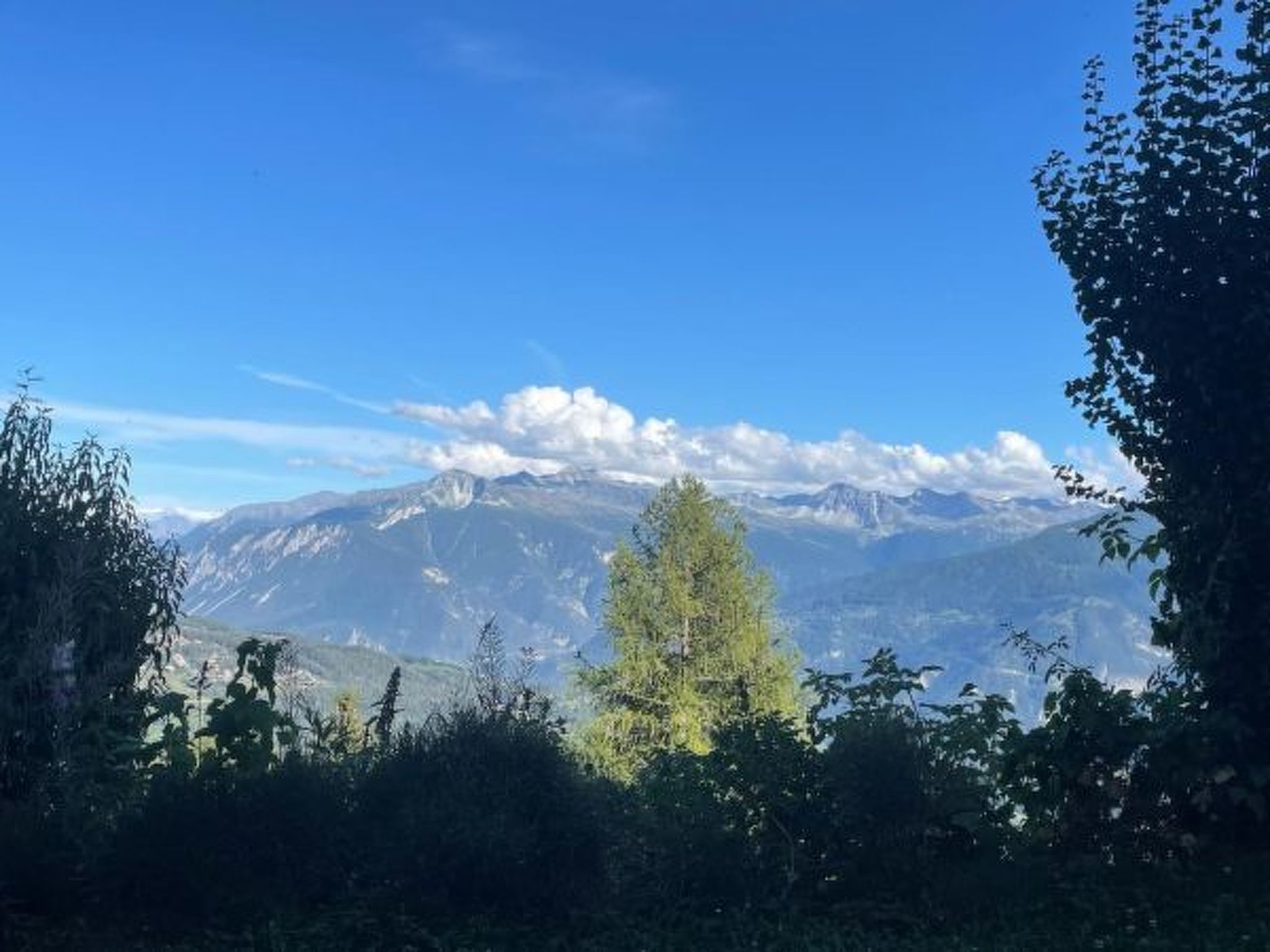 Photo of Tiny House facing the Alps - Ski in and out