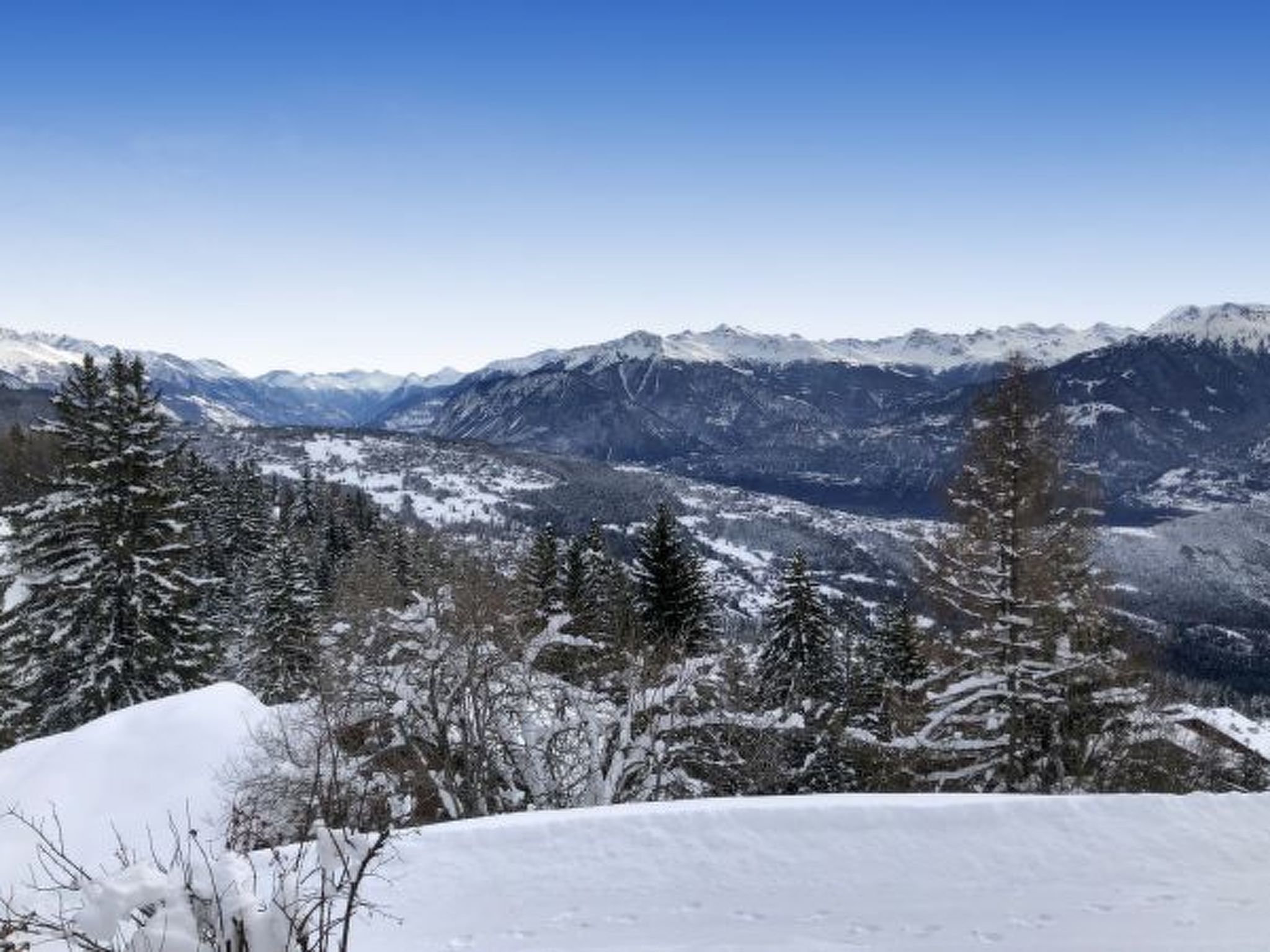 Photo of Tiny House facing the Alps - Ski in and out