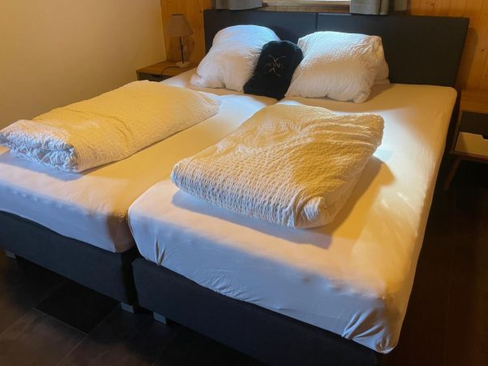 Photo of Tiny House facing the Alps - Ski in and out