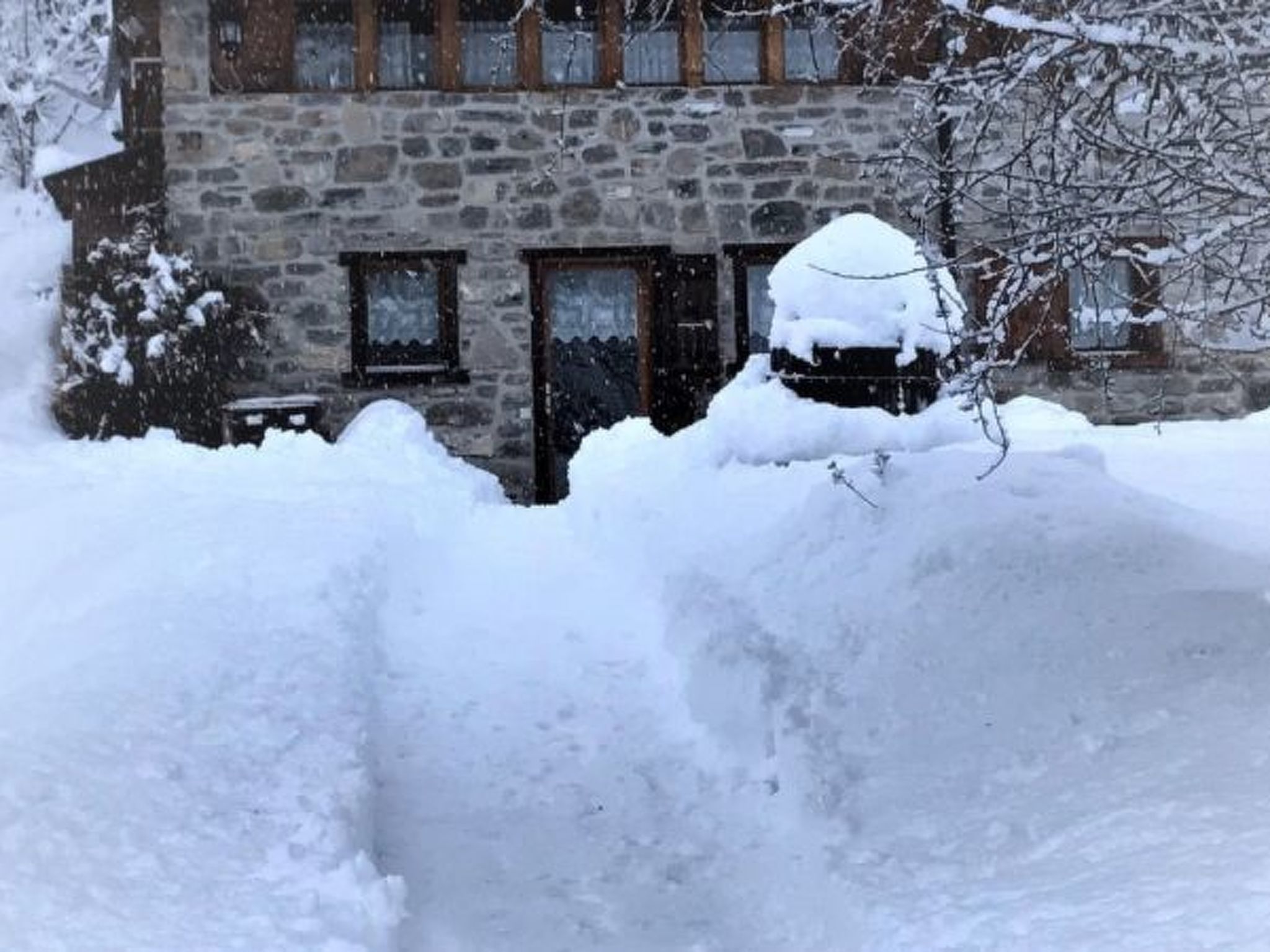 Photo of A l'Orée du Bisse - Anzère