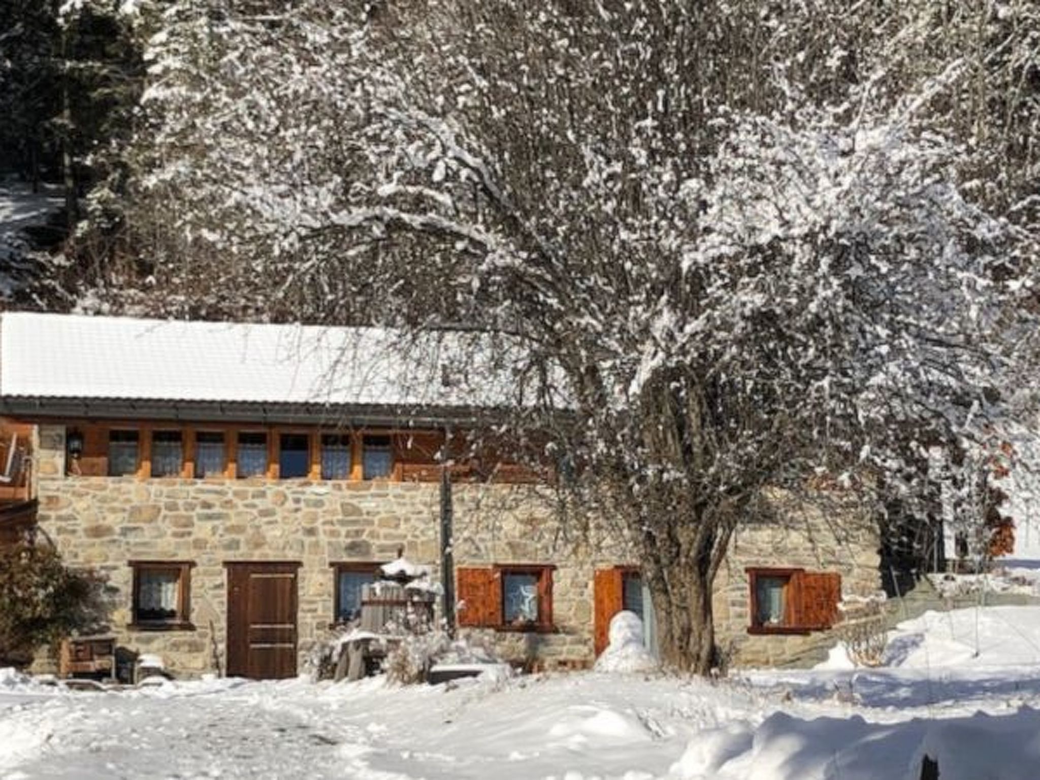 Photo of A l'Orée du Bisse - Anzère