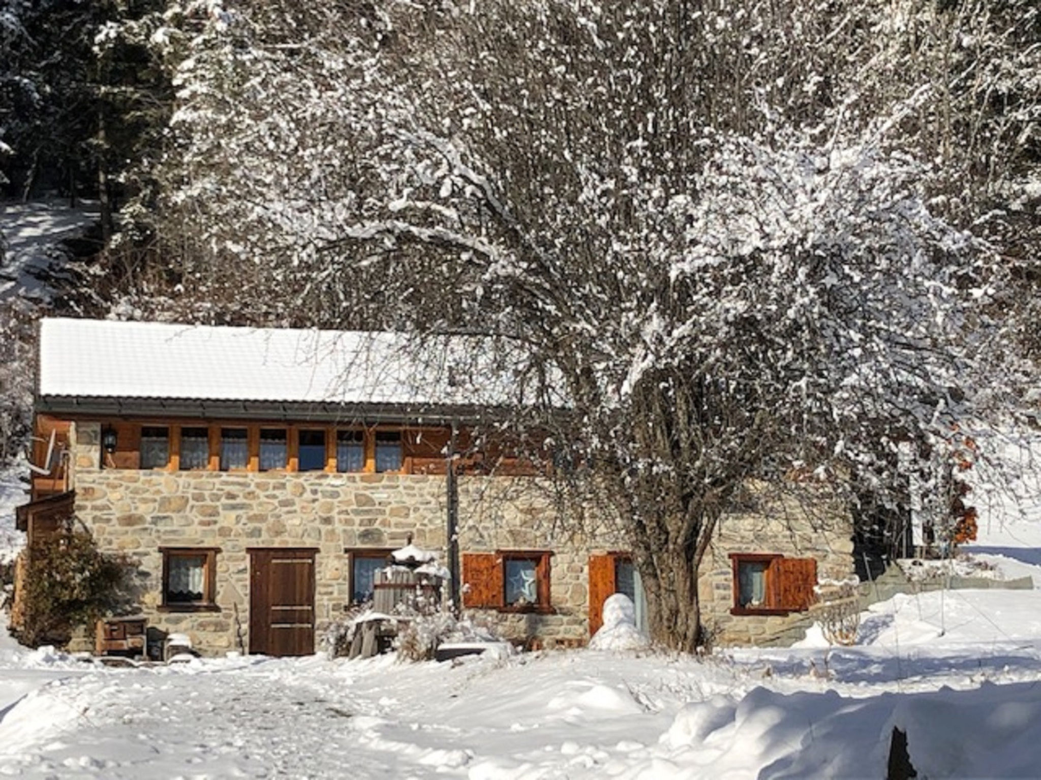 Photo of A l'Orée du Bisse - Anzère