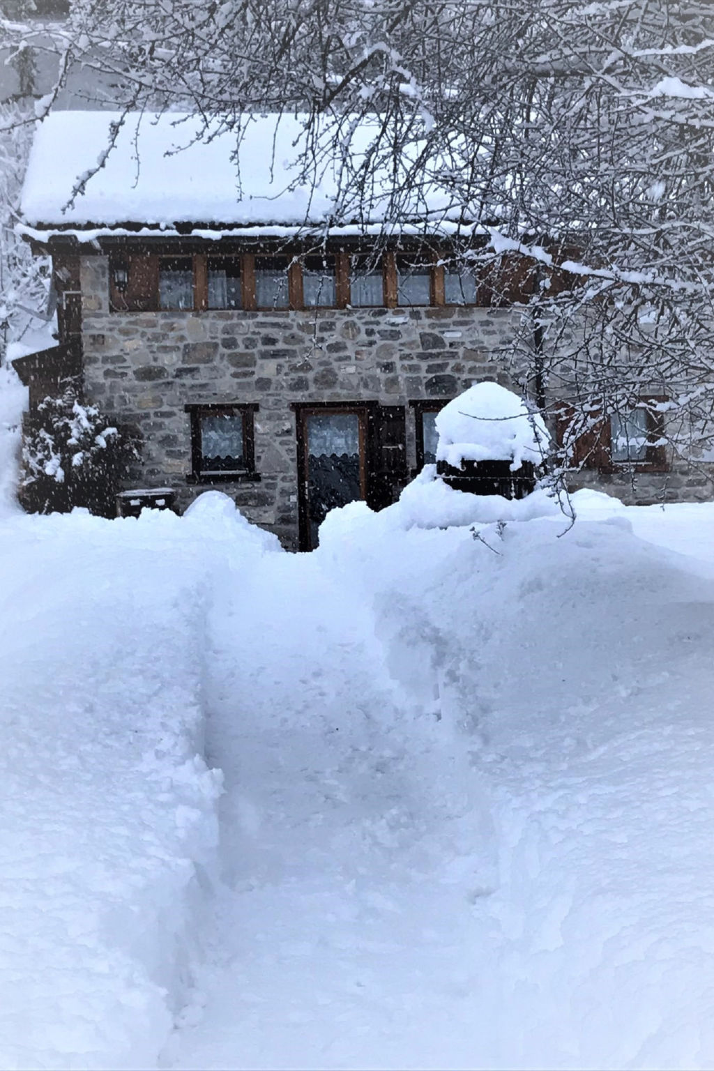 Photo of A l'Orée du Bisse - Anzère