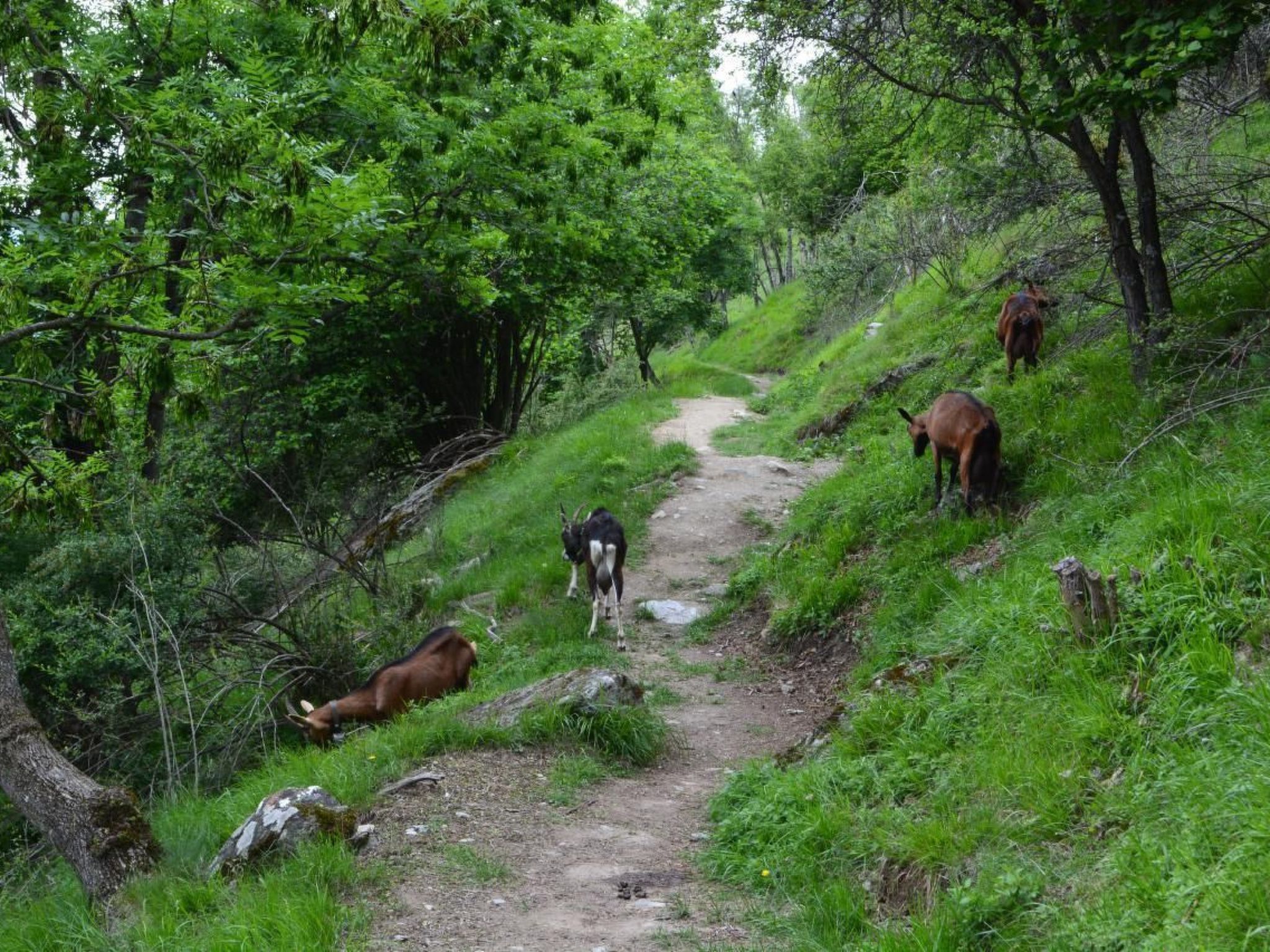'Sunny duplex' mit Sauna