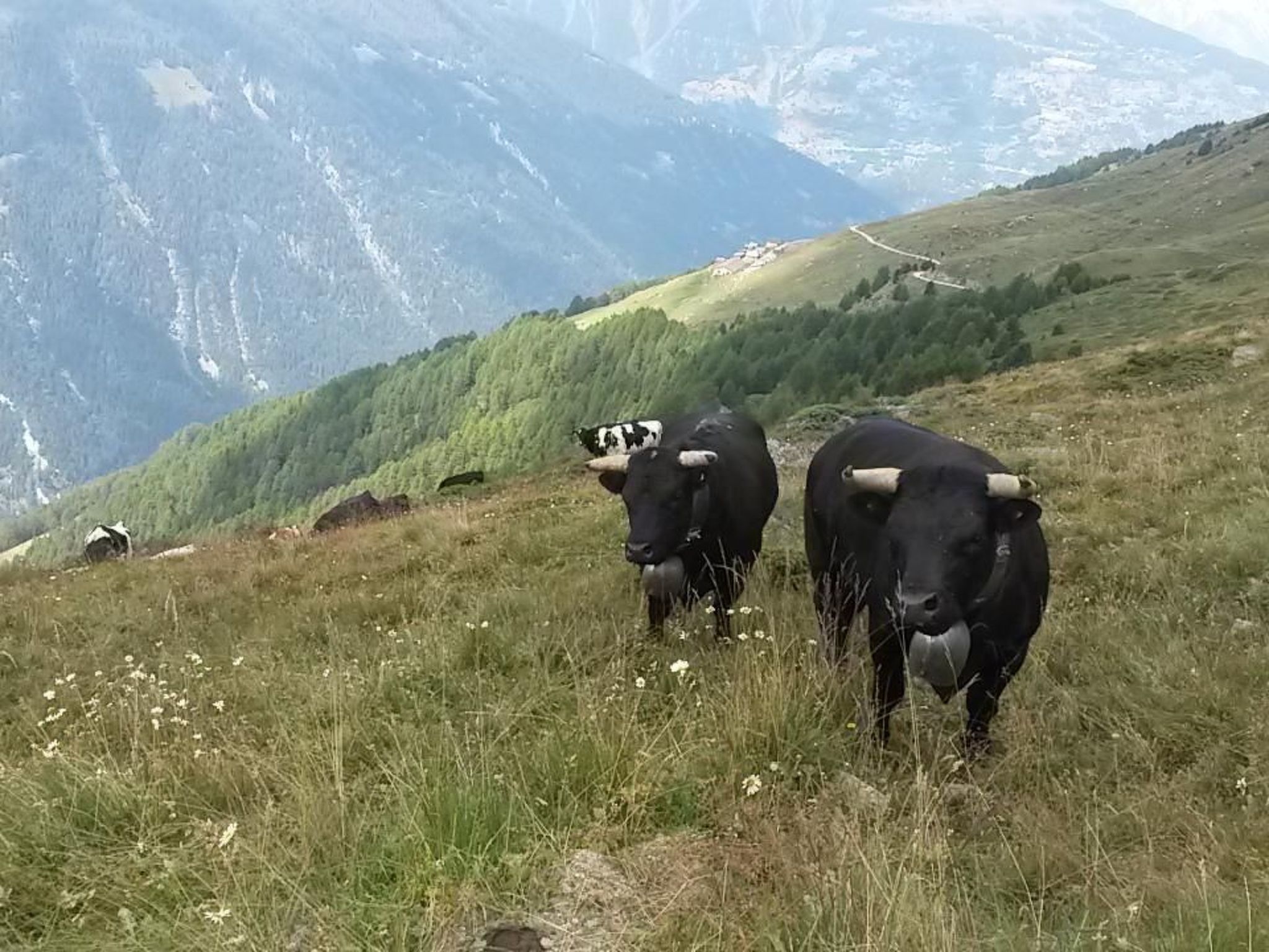 'Sunny duplex' mit Sauna