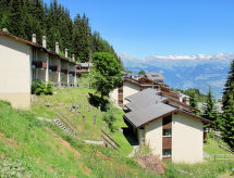 8-persoons chalet Edelweiss aan de piste in Thyon-Les Collons - thumbnail 1