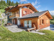 Appartement Pinsons: direct aan de piste in Thyon-Les Collons - thumbnail 1
