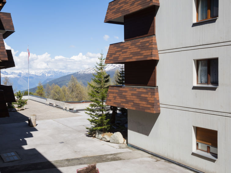 "Velan 115", studio 1-kamer 25 m2 op de 1e verdieping. Smaakvol en gezellig ingericht: woon-/slaapkamer met 1 2-pers divanbed, 3 opklapbedden en TV. Uitgang naar het balkon. Open keuken (3-pits kookpl..