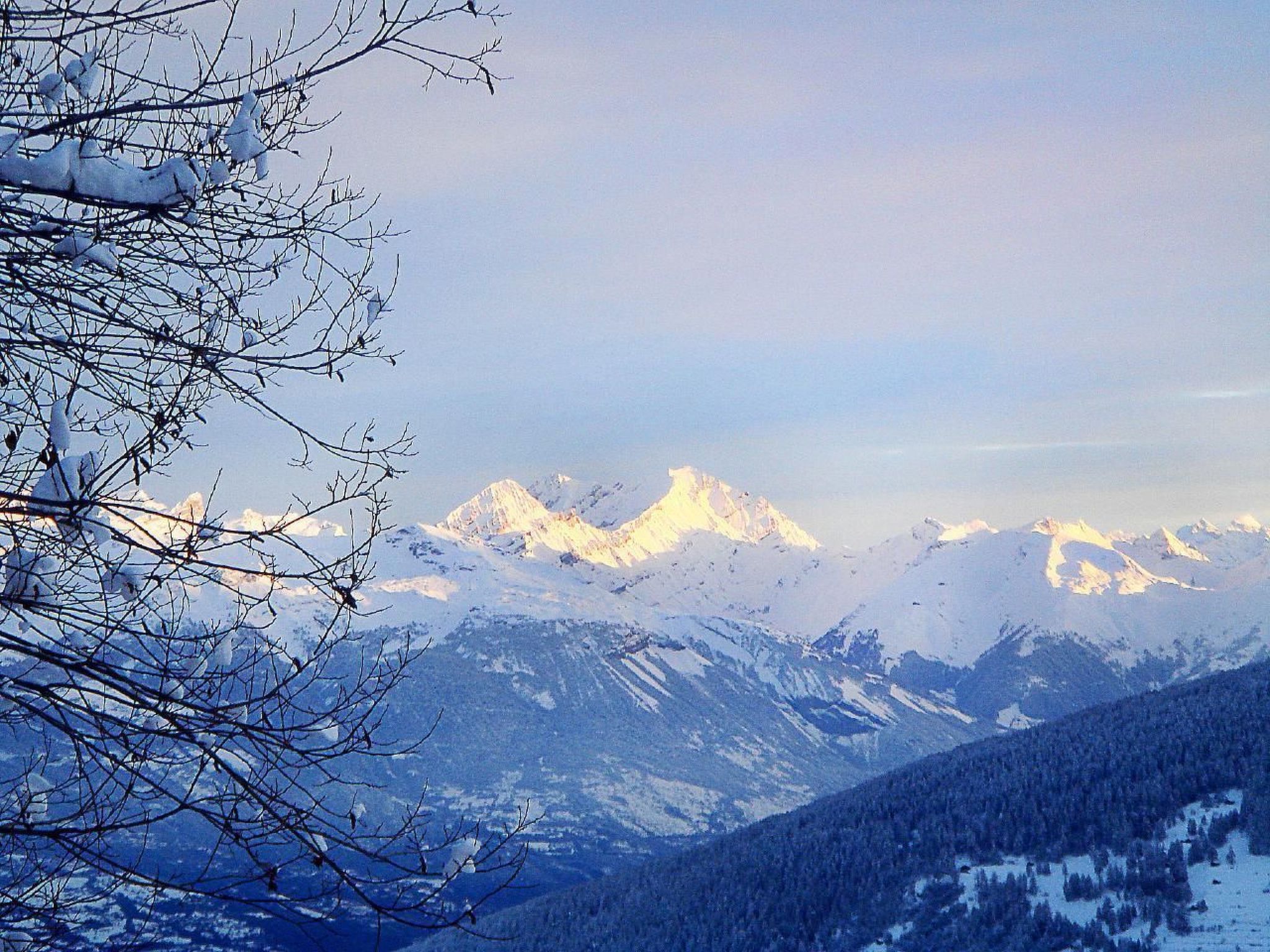 Chalet Albert - Dehors