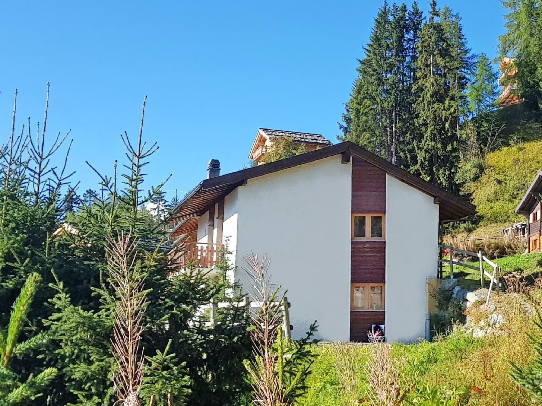 Chalet Arnica - Buiten
