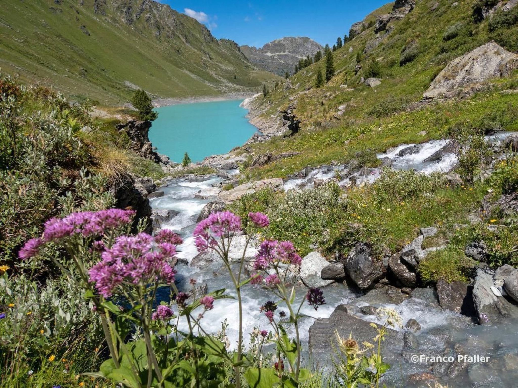 Chalet Arnica - Image-tags.info