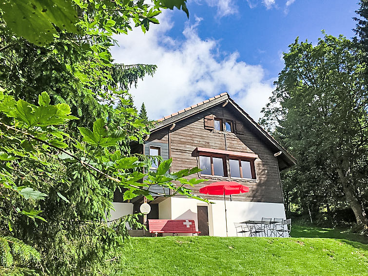 "Chalet de la Vue des Alpes", chalet 3-kamers 80 m2 op 2 verdiepingen. Gedeeltelijk afgeschuinde daken, rustiek en gezellig ingericht: open woon-/eetkamer met eethoek, TV, Flatscreen TV, radio en ster..