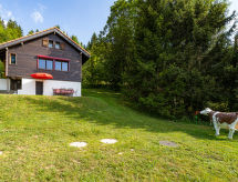 Ferienhaus Chalet de la Vue des Alpes